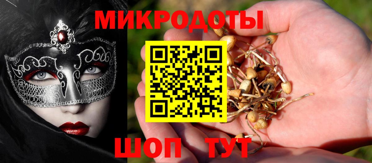 цены   Вход с VPN  Новоуральск  Псилоцибиновые грибы Psilocybine cubensis 